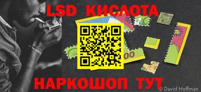 трава Кудрово