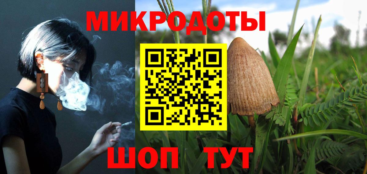 Псилоцибиновые грибы Psilocybine cubensis Зеленогорск