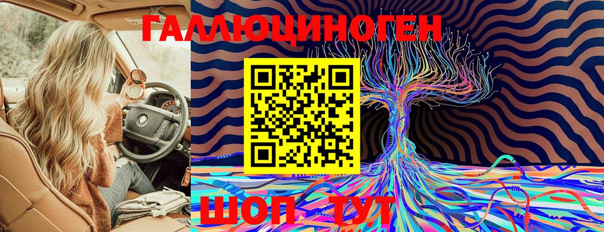 Зеленогорск  Галлюциногенные грибы ЛСД  Вход с VPN 